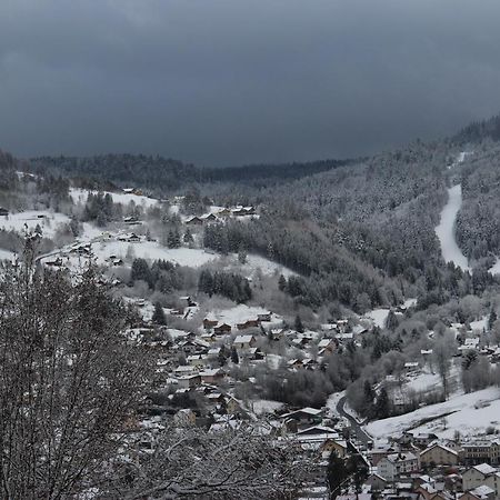 Apartement Sur Les Hauteurs De Gerardmer Avec Une Superbe Vue Exteriér fotografie